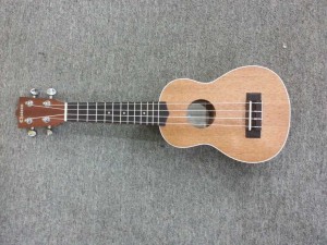 Đặc điểm giữa Guitar và Ukulele