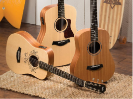 Các dòng đàn Guitar Taylor nổi tiếng nhất hiện nay